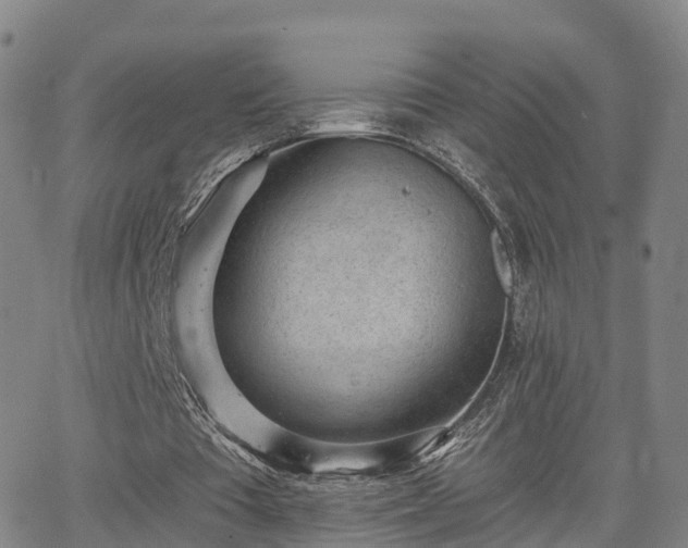 X0000064050385200601301219