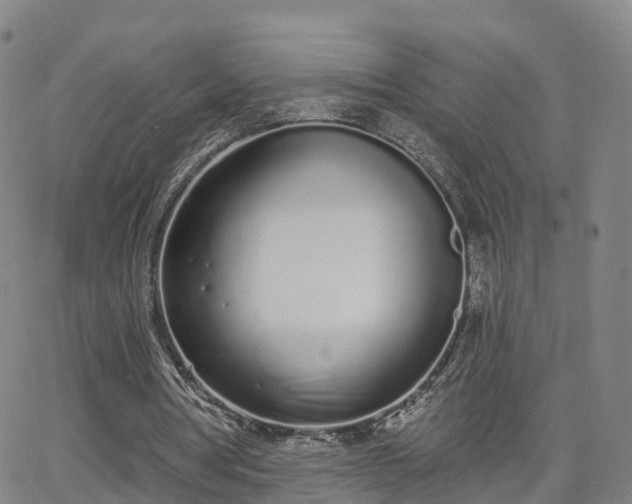 X0000064050386200601301219