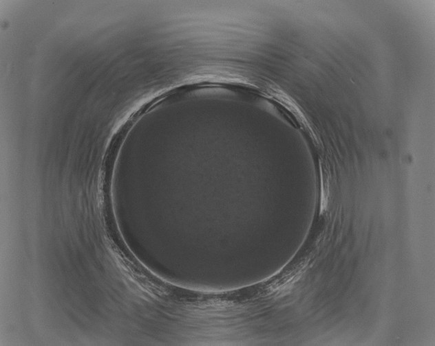 X0000064050387200601301219