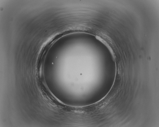 X0000064050388200601301219