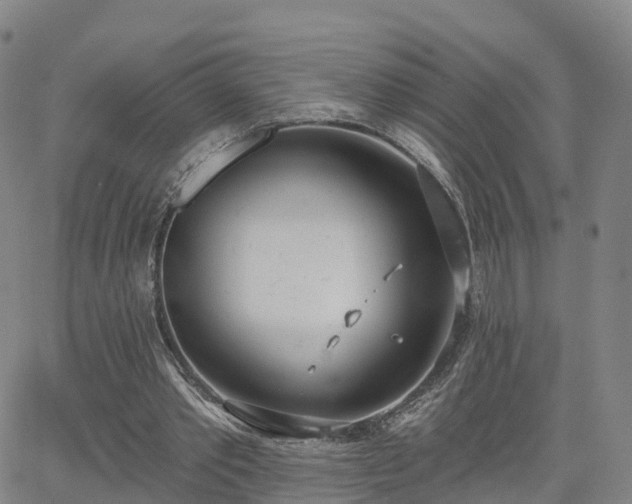 X0000064050389200601301219