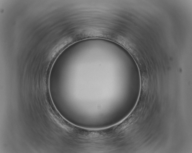 X0000064050390200601301219