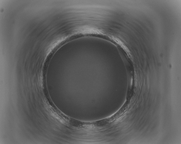 X0000064050391200601301219