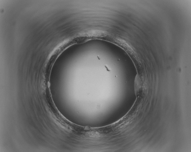 X0000064050392200601301219