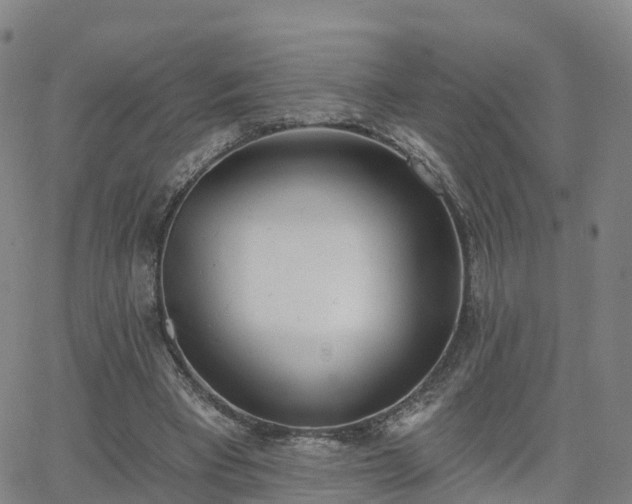 X0000064050393200601301219