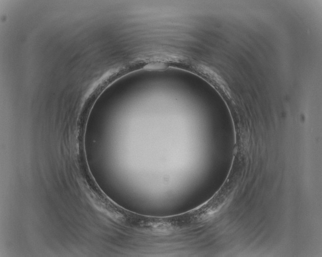 X0000064050395200601301219