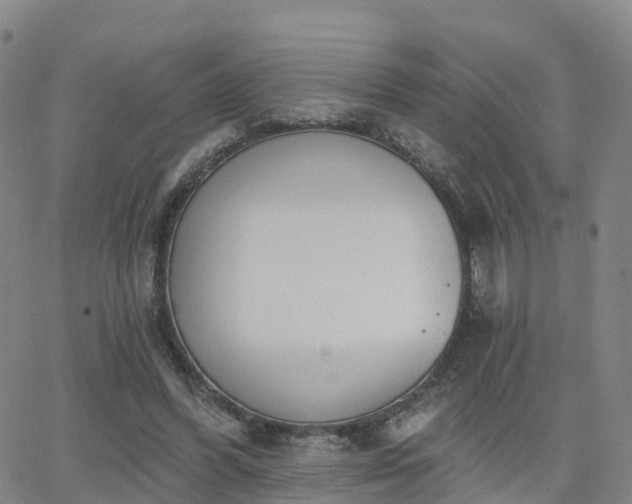 X0000064050396200601301219