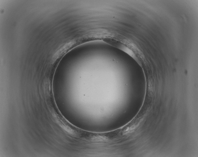 X0000064050397200601301219