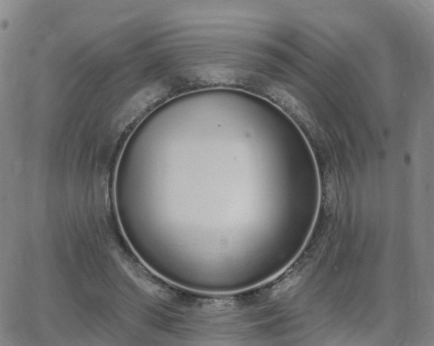 X0000064050398200601301219