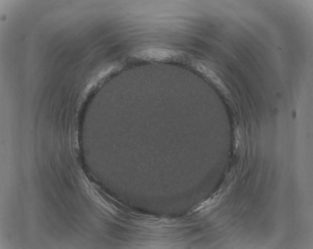 X0000064050399200601301219