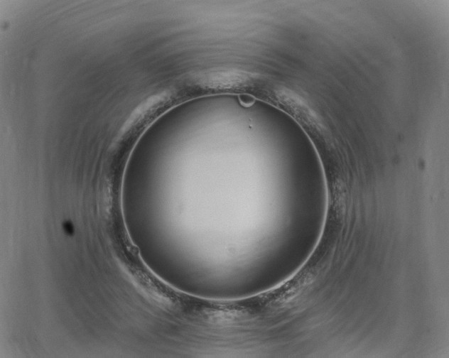 X0000064050400200601301219