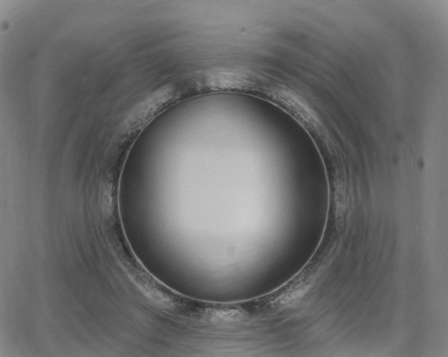 X0000064050401200601301219