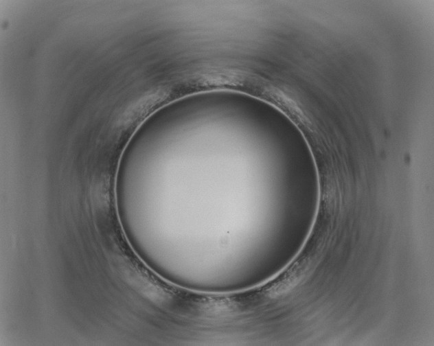 X0000064050402200601301219