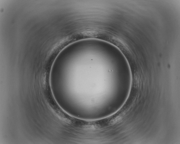 X0000064050404200601301218