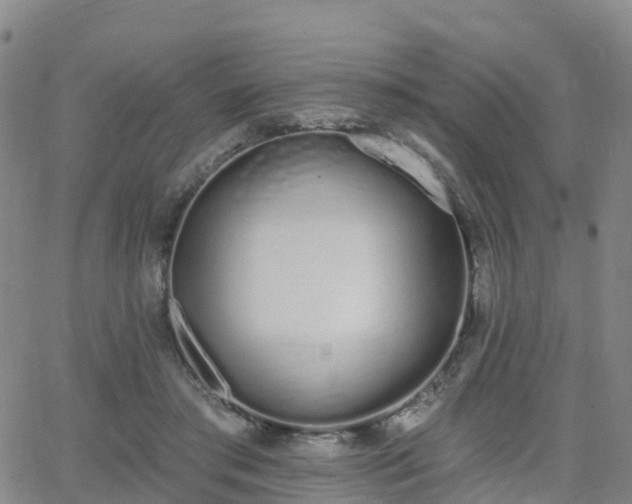 X0000064050405200601301218