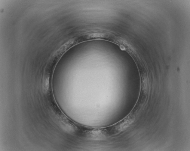 X0000064050406200601301218