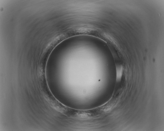 X0000064050407200601301218