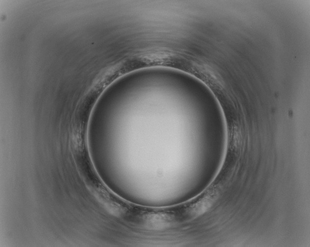 X0000064050408200601301218