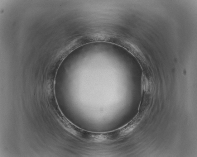 X0000064050409200601301218