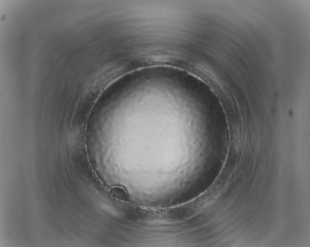 X0000064050410200601301218