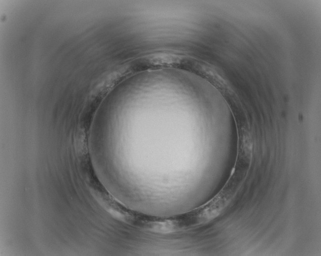 X0000064050411200601301218