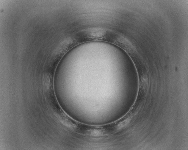 X0000064050412200601301218