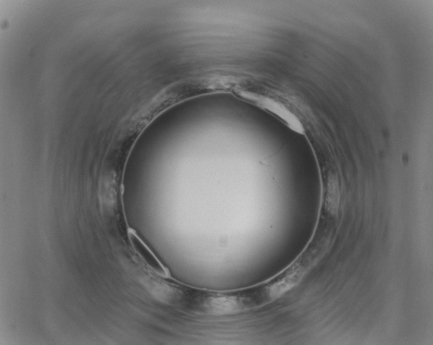 X0000064050413200601301218