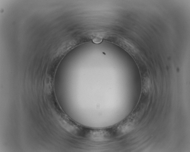 X0000064050414200601301218