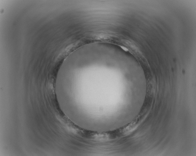 X0000064050415200601301218