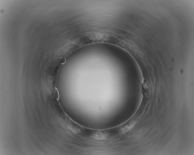 X0000064050416200601301218