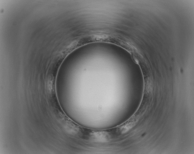 X0000064050417200601301218