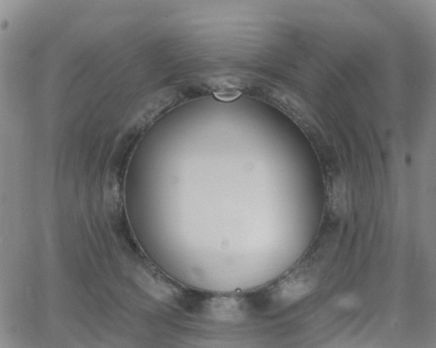 X0000064050418200601301218