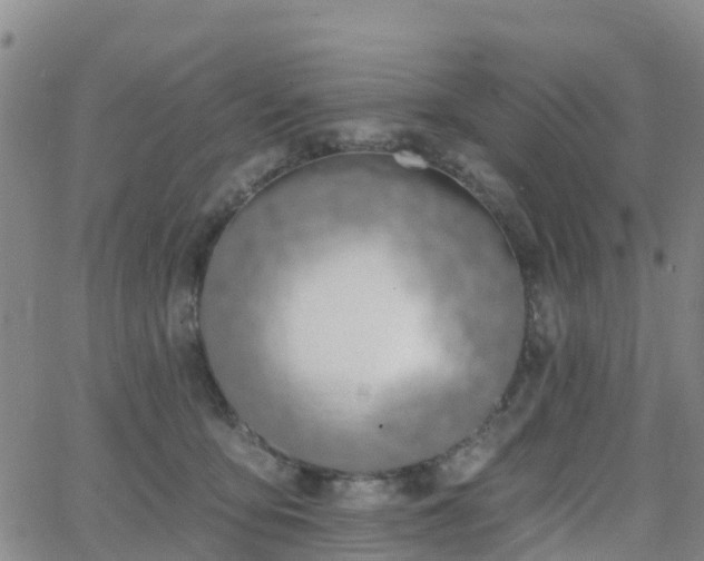 X0000064050419200601301218