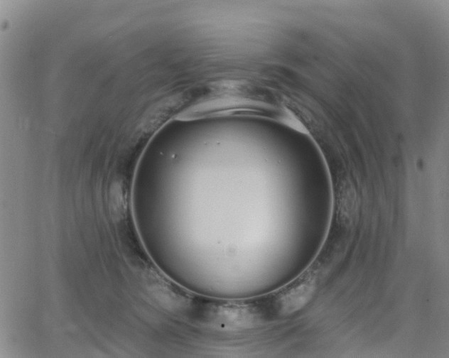 X0000064050420200601301218