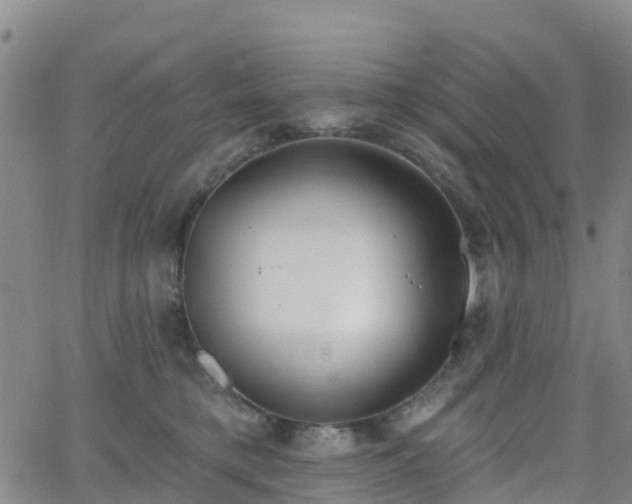 X0000064050421200601301218