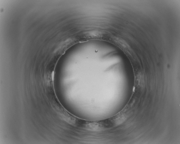 X0000064050423200601301218