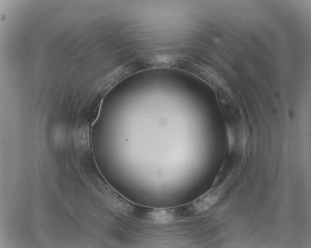 X0000064050425200601301218