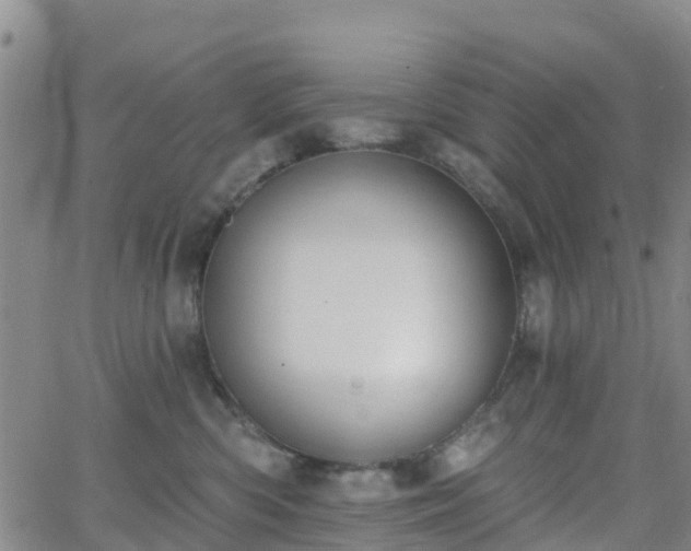 X0000064050426200601301218