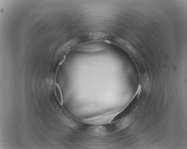 X0000064050427200601301218