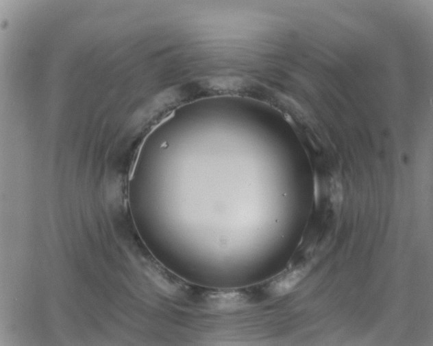 X0000064050428200601301218