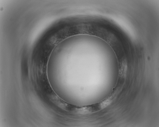 X0000064050430200601301218