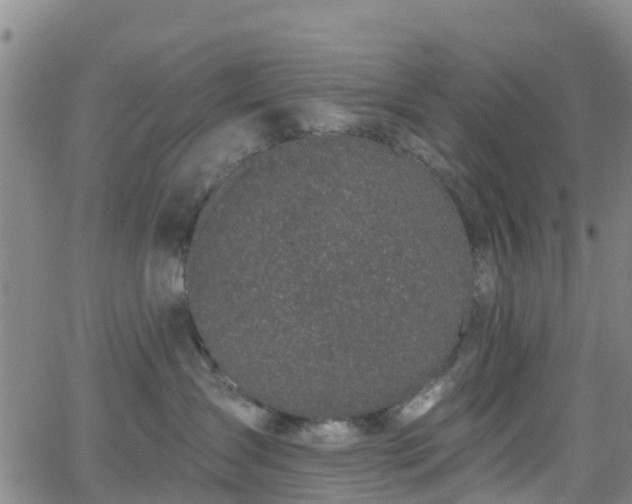 X0000064050431200601301218