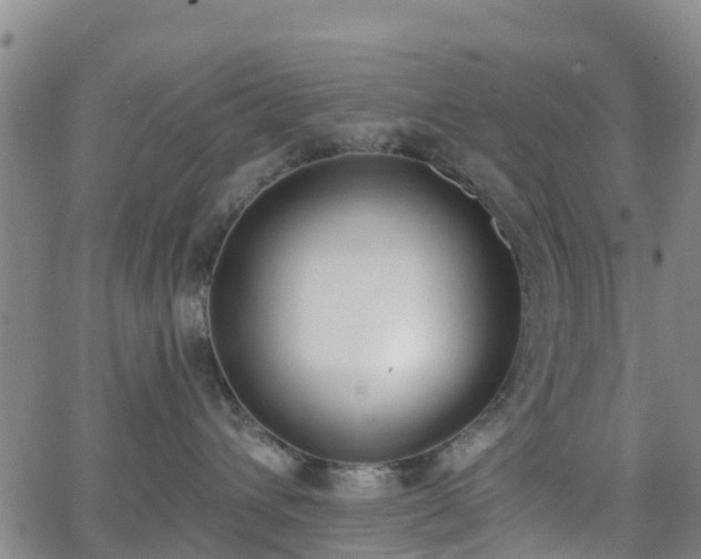 X0000064050432200601301218