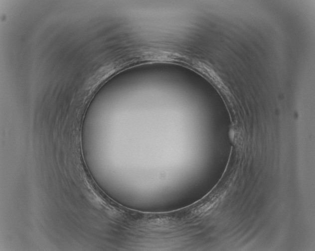 X0000064050433200601301217