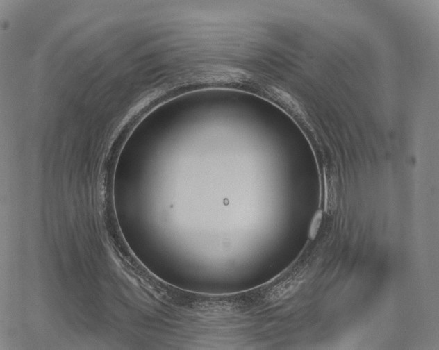 X0000064050435200601301217