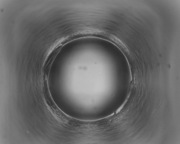 X0000064050436200601301217