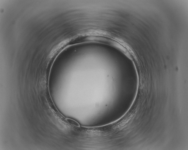 X0000064050437200601301217