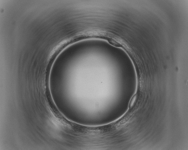 X0000064050438200601301217