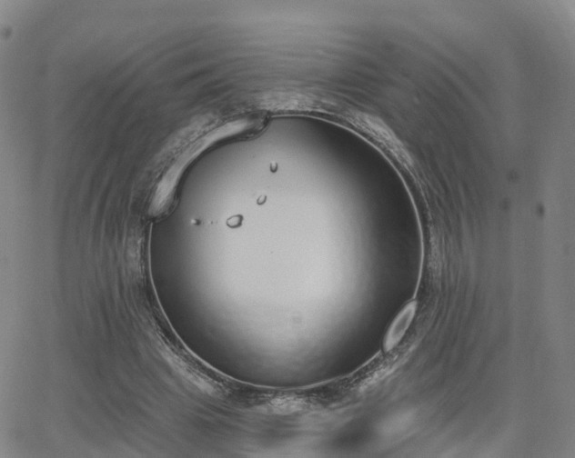 X0000064050441200601301217