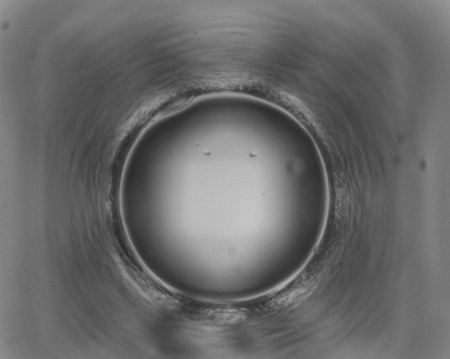 X0000064050443200601301217